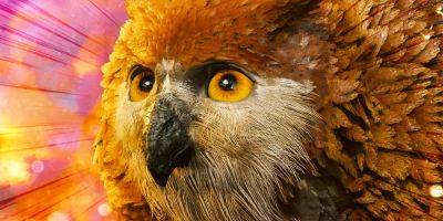 BG3: Adorable Real Life Owlbear Gets Larian's Seal Of Approval - screenrant.com - Australia