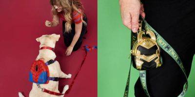 Funko's Loungefly Now Has Mini Spider-Man And Loki Backpacks For Your Dog - thegamer.com - Funko