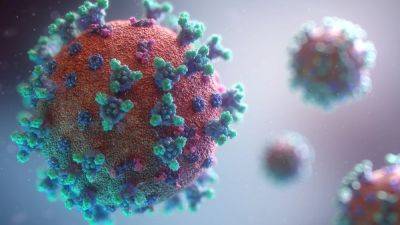 AI to humanity's rescue! New tool can predict deadly virus strains even before they appear - tech.hindustantimes.com - Britain - state Massachusets