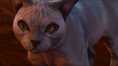 Larian Studios Makes Change To Baldur’s Gate 3 Cat Because Of Fan Backlash - gameranx.com
