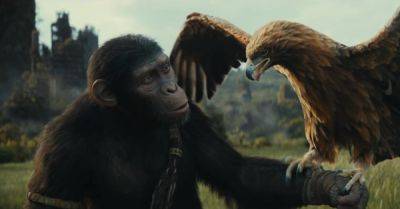 Kingdom of the Planet of the Apes finally lets the apes take over the world - polygon.com - city Fargo