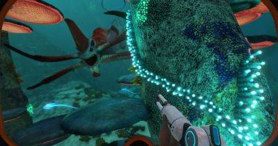 "The Next Subnautica" aims to deliver underwater survival spooks in early 2025 - rockpapershotgun.com