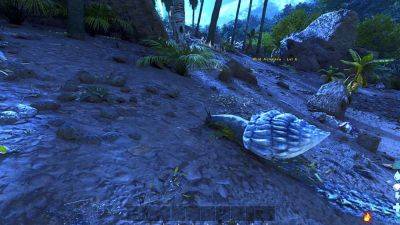 Ark: Survival Ascended Polymer Farming Locations And Guide - gamespot.com