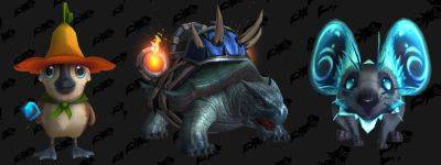 More Trading Post Items Datamined for Early 2024 - Aura Duck Pet, Turtle Mount, Spring Transmog - wowhead.com
