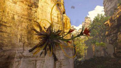 How To Get Blaze Fruit in Avatar: Frontiers of Pandora - gamepur.com - county Woods