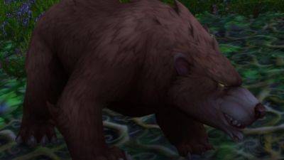 How to find the Elder Ashenvale Bear location in WoW Classic - pcinvasion.com