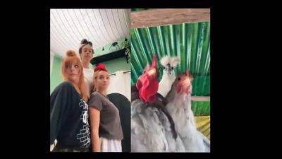 Christmas-themed chicken dance viral video has netizens in stitches; Know its origin, creators, more - tech.hindustantimes.com - India