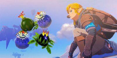 How To Farm Bomb Flowers Zelda: Tears of the Kingdom (The Fast Way) - screenrant.com - county Wells - county Green