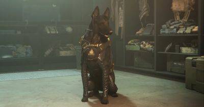 Call of Duty is adding a dog again - eurogamer.net