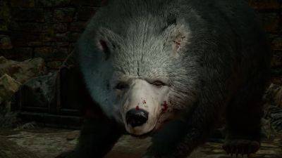 Baldur's Gate 3 director says the bear sex meme got so out of hand that people were trolling his son with bear pictures - gamesradar.com