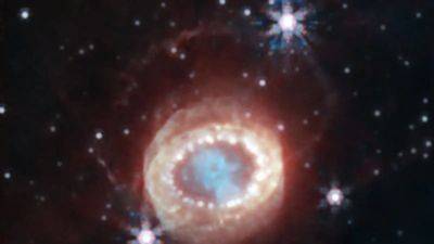 NASA's James Webb Telescope reveals a sight to behold - a Supernova remnant - tech.hindustantimes.com - Reveals