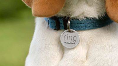 Ring's QR Code Pet Tags Will Let Your Neighbors Scan, Return Furry Friends - pcmag.com - Usa