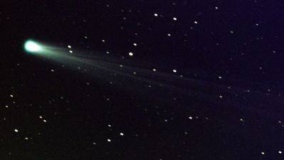 You won't believe who snapped this new comet first - tech.hindustantimes.com - Japan