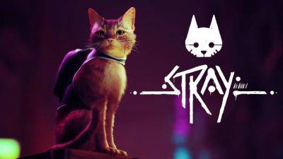 Stray is Getting Adapated into an Animated Movie - gamingbolt.com