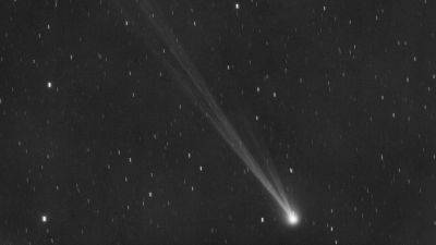Newly discovered comet visible in night sky this weekend - tech.hindustantimes.com - Japan