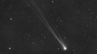 Solar storm just hit Comet Nishimura! It cut off its tail, but comeback was dazzling - tech.hindustantimes.com - Austria