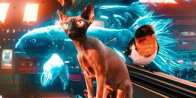 Cyberpunk 2077's Lack Of Pets Makes Sense, But It's More Complicated Than You Think - screenrant.com - Usa - city Night