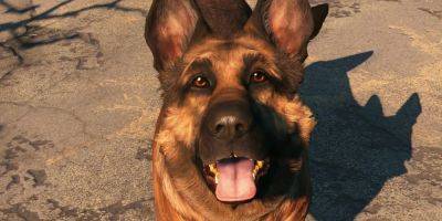 Fallout 4 Gets Talking Dogs Thanks To a Hilarious Bug - gamerant.com - state Indiana - state Massachusets