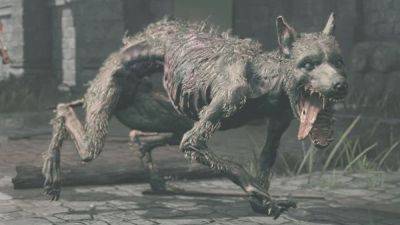 Turns out Elden Ring's 'friendliest' dog is actually just as angry as every other horrible dog in The Lands Between - gamesradar.com