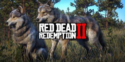Red Dead Redemption 2 Player Terrorized by Wolves - gamerant.com - county Arthur - county Morgan