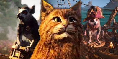 All Skull And Bones Pets, Ranked Best To Worst - screenrant.com - India