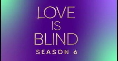 Why Is Love Is Blind Reunion Not Working? When Is It Available? - comingsoon.net - Reunion