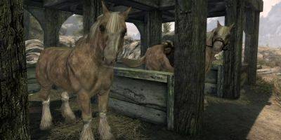 Hilarious Skyrim Glitch Gives NPC a Horse’s Head - gamerant.com