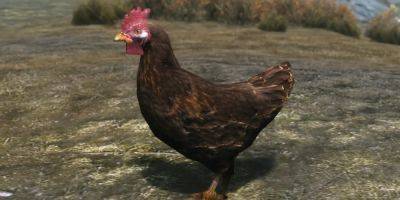 Sad Skyrim Chicken Leaves Player Feeling Guilty - gamerant.com
