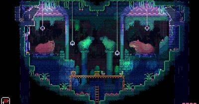 Spooky Metroidvania Animal Well gets May 9th release date - rockpapershotgun.com