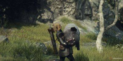 Dragon's Dogma 2 Lets You Play Catch With Pawns, Fans Delighted - thegamer.com
