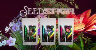 There are gamer-branded flower seeds now - thank you, Guild Wars 2 - rockpapershotgun.com - Britain - city Berlin