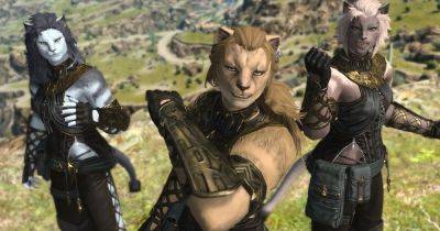 Final Fantasy 14's Dawntrail benchmarking tool has players happy with its new playable catmoms - rockpapershotgun.com