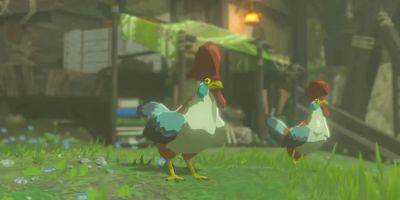 Zelda: Tears of the Kingdom Player Points Out Interesting Cucco Detail - gamerant.com