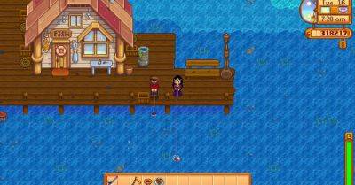 In defense of Stardew Valley’s fantastically frustrating fishing - polygon.com - county Cross
