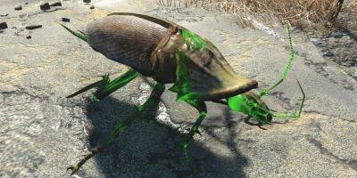 Fallout 4 Radroach Gets 'Armor' in Unexpected Way - gamerant.com