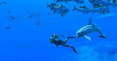 Endless Ocean: Luminous review: chill underwater adventure runs out of air - digitaltrends.com