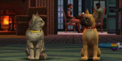The Sims 4 Player Creates Spitting Image of Their Cat in the Game - gamerant.com