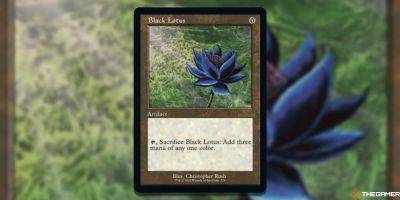 A Magic: The Gathering Black Lotus Card Sold For A Record-Breaking $3 Million - thegamer.com - state Florida