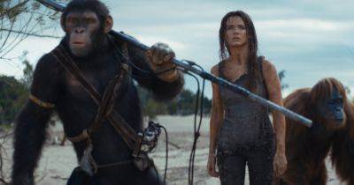 Kingdom of the Planet of the Apes Producers Have Vision for 5 More Movies - comingsoon.net