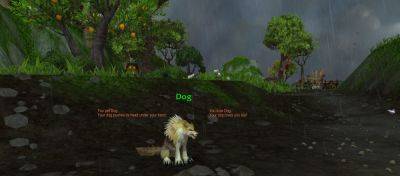 Your Dog Returns in The War Within! - wowhead.com - county Valley