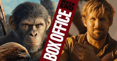 Box Office Results: All Hail Kingdom of the Planet of the Apes - comingsoon.net