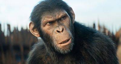 Planet of the Apes Reboot Movies Ranked After Kingdom - comingsoon.net - After
