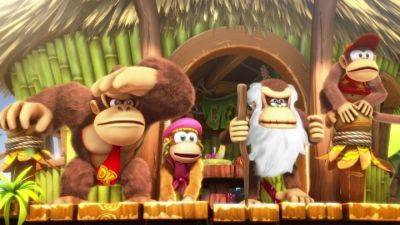 Vicarious Visions Was Working on a 3D Donkey Kong Game at One Point – Rumour - gamingbolt.com - city Albany